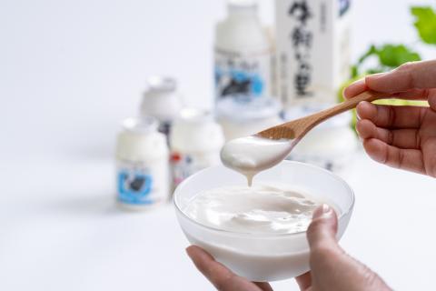 いちだヨーグルト　飲むも食べるも詰め合わせセット