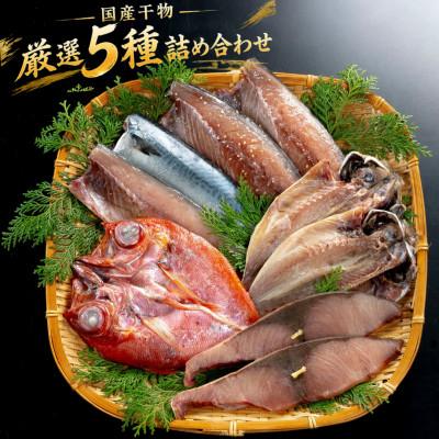 ふるさと納税 佐世保市 長崎県佐世保市で加工!国産干物厳選5種詰め合わせ