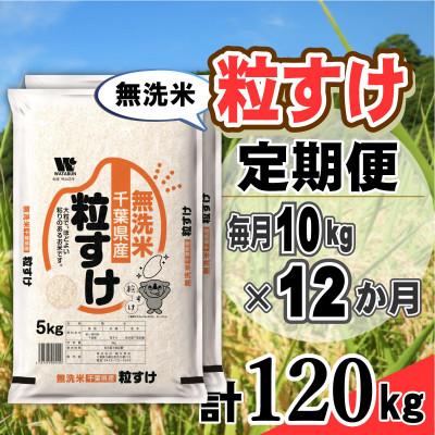 ふるさと納税 大網白里市 【毎月定期便】粒すけ 無洗米 10kg (5kg×2袋)全12回