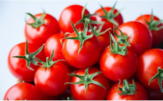 出雲の國からの贈り物～トマトを超えた超トマト２kg| トマト とまと 野菜 やさい 新鮮 産地直送 贈答 出雲 出雲市