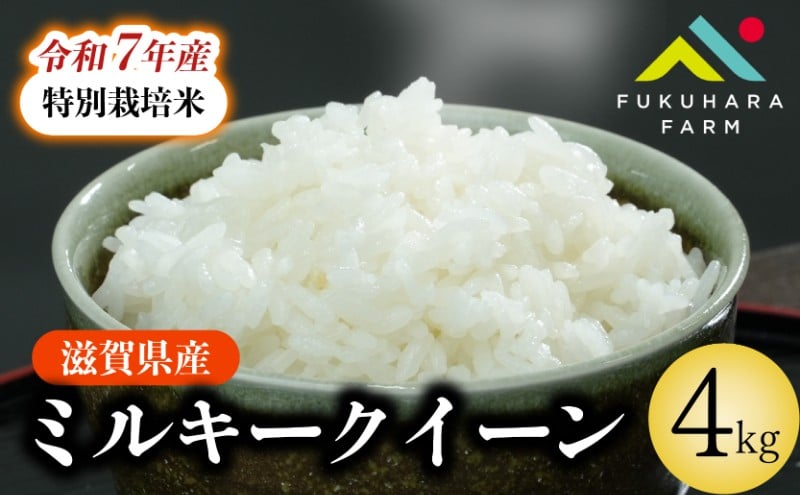 
            ミルキークイーン 4kg ( 2kg ×2) 特別栽培米 令和7年産 新米 米 精米 こめ コメ お米 ご飯 米 ミルキー クイーン 4キロ 令和7年 滋賀 彦根
          