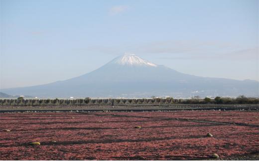 駿河湾産 桜えび素干し 25g×5袋（合計125g）