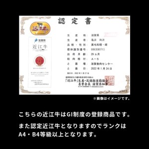 近江牛 ロース 300g 黒毛和牛 切り落し 和牛 国産 ブランド牛 三大和牛 牛肉 冷凍 贈り物 ギフト プレゼント B-F03 株式会社ＴＫＳ 東近江