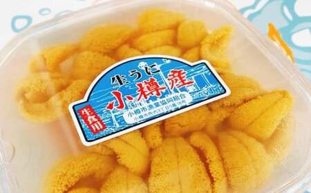 小樽産 ムラサキウニ 塩水生ウニ 100g うに ウニ 生ウニ 雲丹 北海道 小樽市 【2025年5月下旬-8月下旬 発送予定】
