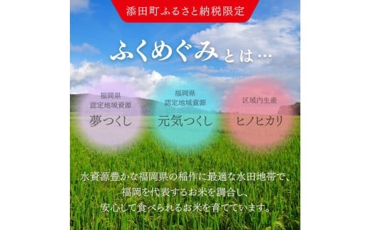 無洗米 お米 米 精米 白米 訳あり ふくめぐみ 5kg (5kg×1袋) 5キロ 無洗米 お米