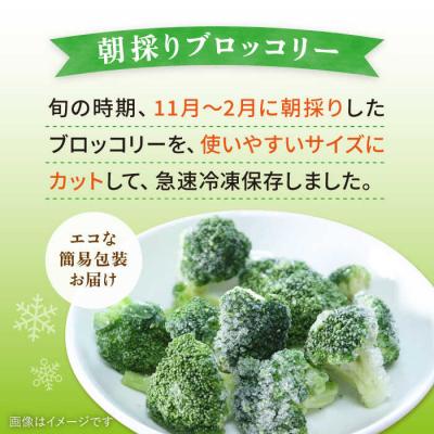 ふるさと納税 糸島市 ブロッコリー500g 冷凍 旬の時期に急速冷凍 糸島産 オーガニックナガミツファーム[AGE043] |  | 01