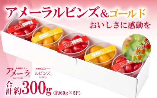 4A28アメーラルビンズ＆ルビンズゴールド　5パック入り