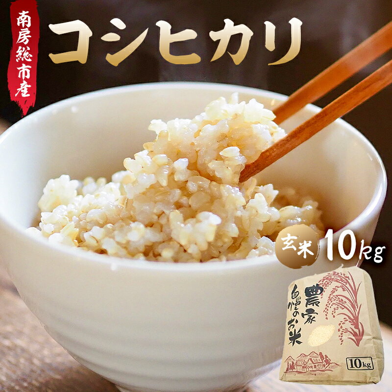 【ふるさと納税】 【令和7年産】南房総市産コシヒカリ玄米10kg 千葉県 南房総市 お米 米 玄米 おにぎり 健康 ご飯 2025年産 お取り寄せ グルメ 送料無料