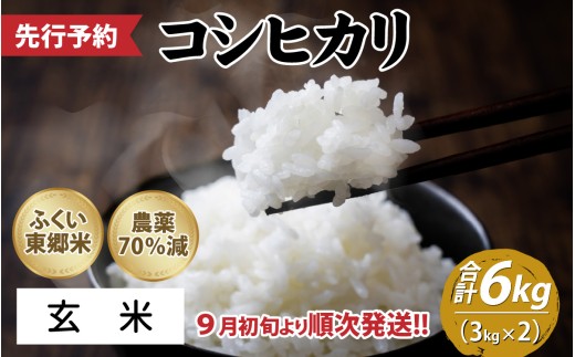 【先行予約】令和8年産 新米 ふくい東郷米 特別栽培米　農薬70％減コシヒカリ 6kg 3kg×2袋「2026年9月初旬より順次発送」【玄米】[A-020019_02]