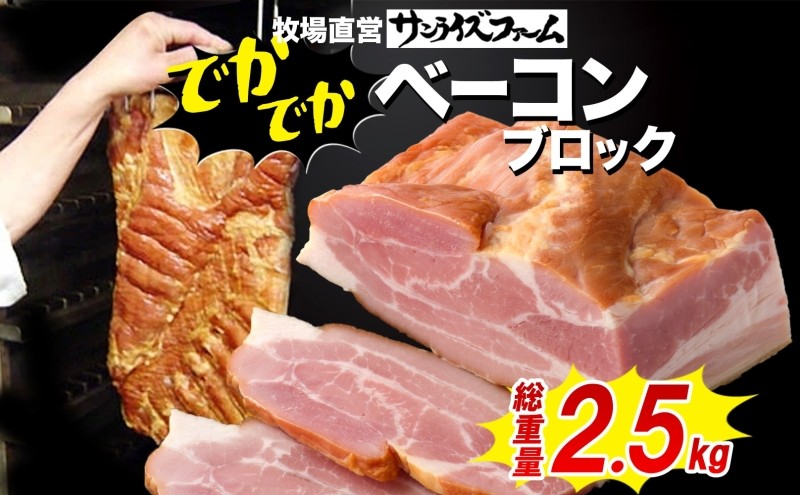
                  でかでかベーコンブロック約2.5kg 豚肉 国産 肉 ベーコン 大きい デカい 熟成 本格的 桜 スモーク 天然塩 肉厚 ジューシー 夕食 ご飯 つまみ ステーキ つまみ お酒 送料無料 サンライズファーム 千葉県 香取市  SRF017
                