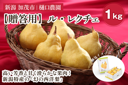 【贈答用】西洋梨 ル・レクチェ 1kg（2～3玉） 果物 梨 洋梨 西洋梨 フルーツ 冬の味覚 デザート 産地直送 加茂市 樋口農園 梨 梨 梨 梨 梨 梨