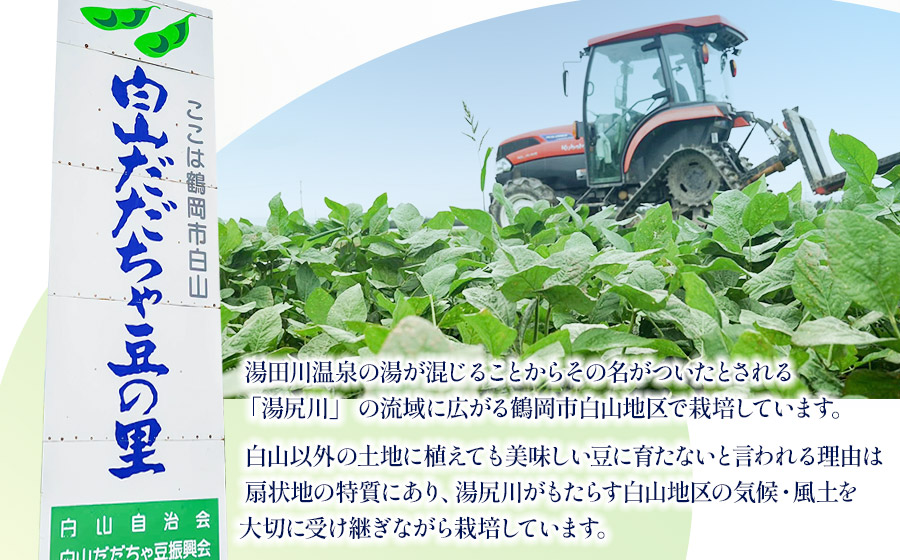 数量限定【令和8年産先行予約】 白山だだちゃ豆　2kg（500g × 4袋） + 訳あり200g　鶴岡市白山産　長五郎