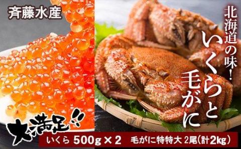 数量限定☆北海道の味！いくらと特特大毛がに 大満足セット＜斉藤水産＞【AM036】