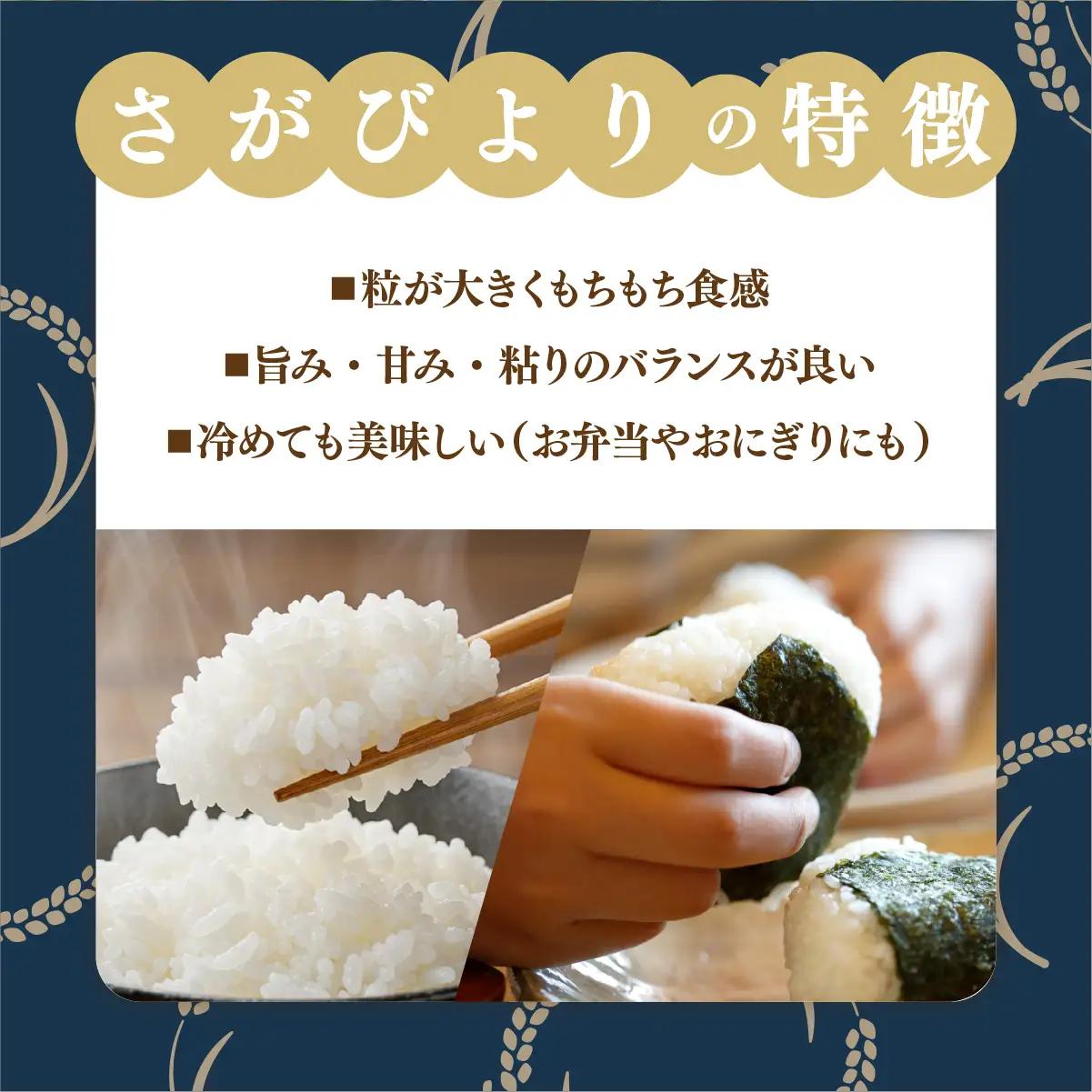 さがびより 白米 10kg×12回