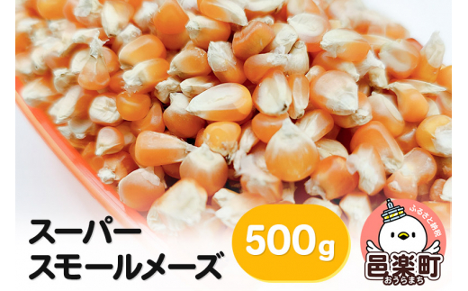 
スーパースモールメーズ 500g×1袋 サイトウ・コーポレーション 飼料
