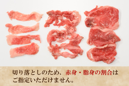 AB392.博多和牛切り落とし（約６００グラム）