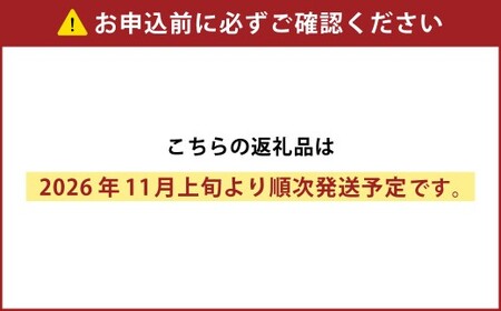 ［先行受付］おとふけ産マンゴー「白銀の太陽プレミアム」2Lサイズ×2玉【D18】《2026年11月上旬より発送開始予定》