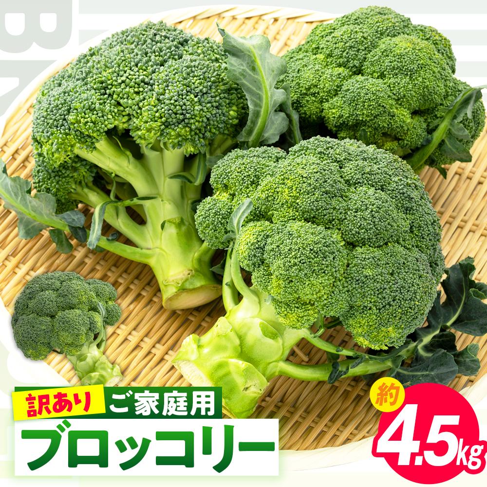 【ふるさと納税】訳あり ご家庭用ブロッコリー 約4.5kg【2026-11月中旬～2027-5月下旬配送】 | 不揃い 形不揃い 国産ブロッコリー 冷蔵 野菜 緑黄色野菜 栄養豊富 お弁当 おかず 彩り ベジタブル ベジタリアン ヴィーガン 自宅用 ご家庭用 家庭料理 料理 温野菜 サラダ