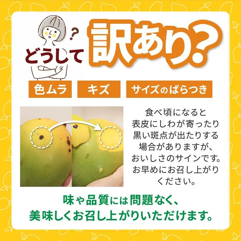 【2026年8月中旬から順次発送・訳あり】今帰仁産の幻のキーツマンゴー1kg(1～2玉)【配送不可地域：離島】【4014741】