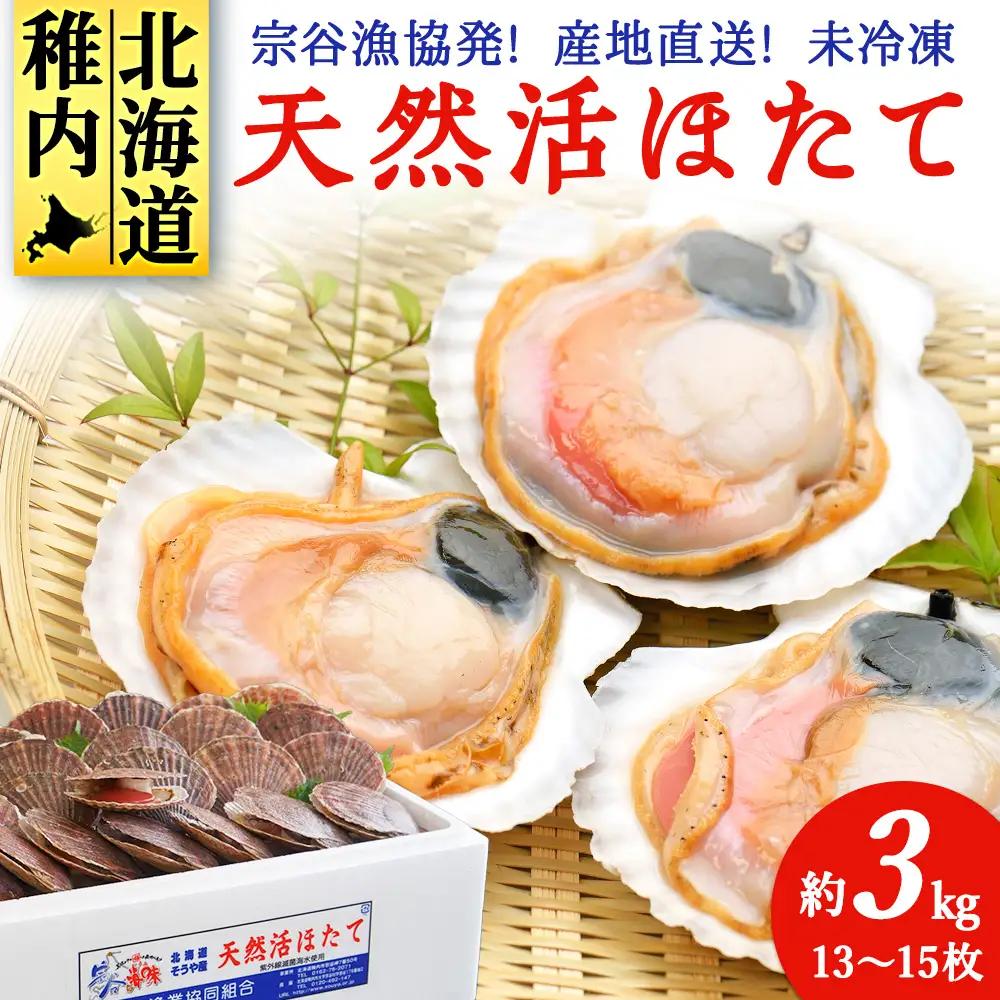 【先行受付】宗谷漁協発!産地直送!活ほたて約3kg(13～15枚入)刺身 海鮮【配送不可地域：離島・沖縄県】