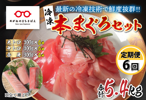 【定期便】【6ヶ月連続お届け】 刺身用！本マグロ堪能セット（柵どり）900g × 6回【最新の冷凍技術】