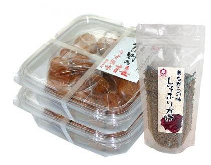 熊野乃梅　うす塩 （塩分9％）500ｇ×2Pとしそふりかけ