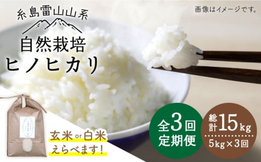 【令和7年産新米予約】【玄米】【全3回定期便】自然栽培ヒノヒカリ5kg《糸島》【大石ファーム】【2025年11月中旬以降初回発送】 [ATE017-1]