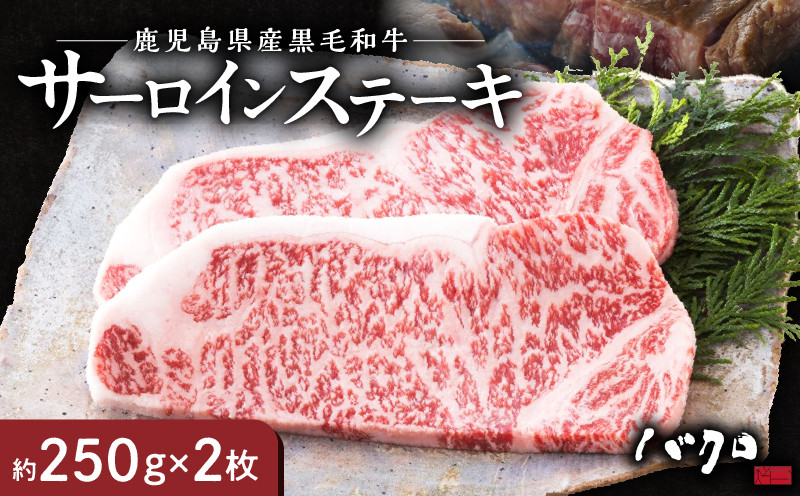 
                  サーロインステーキ 250g×2枚　A152-001
                