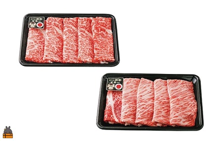  《和牛日本一獲得》5等級 これが!!鹿児島黒牛 2種の霜降りを食べ比べる「すき焼き」（リブロース300g＆カタロース300g) ( 5等級 黒牛 黒毛和牛 牛肉 日本一 全国和牛能力共進会 徳之島 