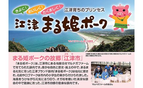 まる姫ポーク　おすすめセット　定期便【5ヶ月】 精肉セット 生ソーセージセット 焼肉セット ホルモンセット しゃぶしゃぶセット