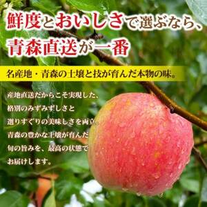 青森県産りんご 平均糖度13度以上! 有袋ふじ 約10kg 訳あり クール便【配送不可地域：離島・沖縄県】【1707178】