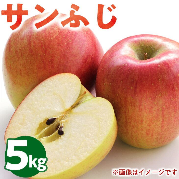 【ふるさと納税】50-F 伊藤りんご園 サンふじ 5kg｜りんご リンゴ 林檎 果物 くだもの フルーツ 福島県 会津坂下町 ※2025年11月上旬頃より順次発送予定
