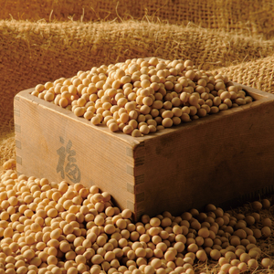 DL-8　【水戸納豆】伝統の味　経木納豆　16個入り