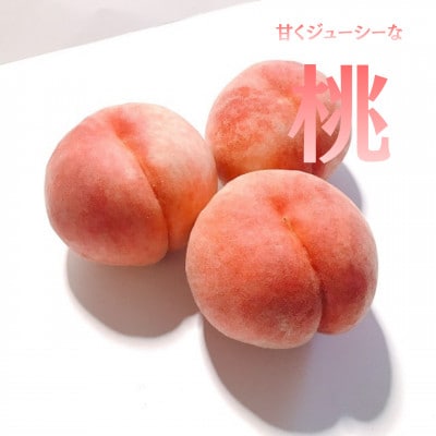 【発送月固定定期便】【2026年先行受付】フルーツ定期便 桃2kg 巨峰1kg シャイン1kg全3回【配送不可地域：離島・沖縄県】