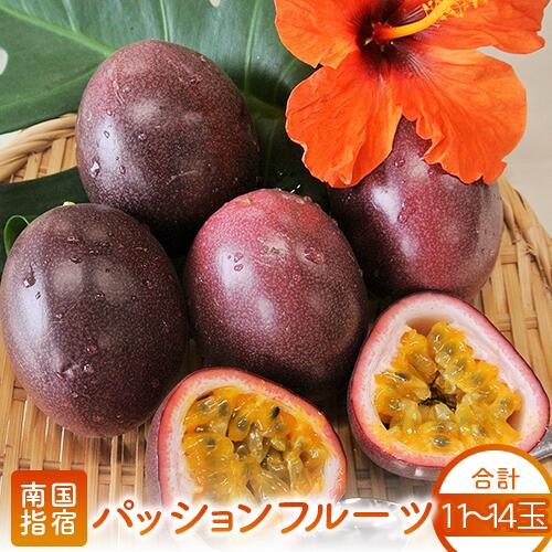 【ふるさと納税】鹿児島県指宿市産パッションフルーツ(11〜14玉入り)フルーツ 果物 パッションフルーツ 国産 果実 旬 指宿 鹿児島 デザート おやつ 送料無料【マンゴーの森】
