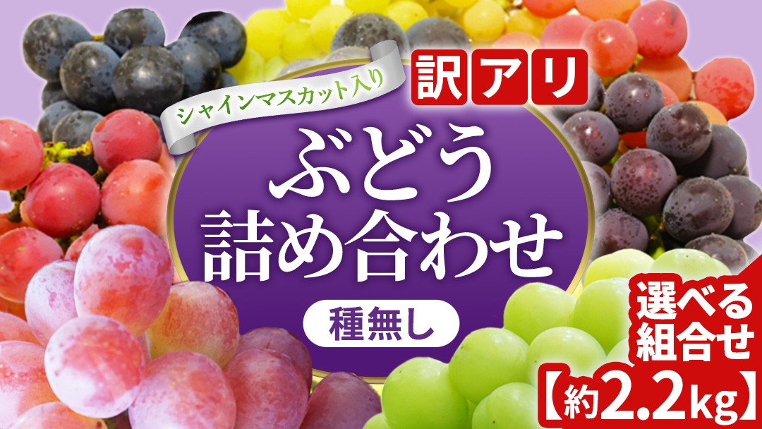
                  ＼訳あり ご家庭用／ 2026年産 ぶどう 食べ比べ 「シャインマスカットと旬の大粒ぶどうの詰合せ」3~5房 種なし品種 選べる 種類 内容量【農家さんおまかせ・直送】 ブドウ 葡萄 フルーツ 果物 旬 わけあり 先行予約 食べ比べ (DM004/006)
                