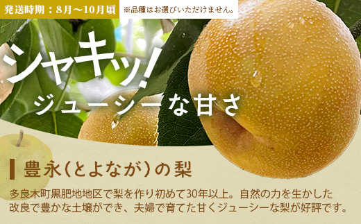 【フルーツ 定期便 3回B】2026年発送分 アンデスメロン・桃・梨 3回配送 旬 フルーツ 定期便 数量限定 メロン 球磨の桃 豊永の梨 果物 名産 熊本 多良木町 092-0508