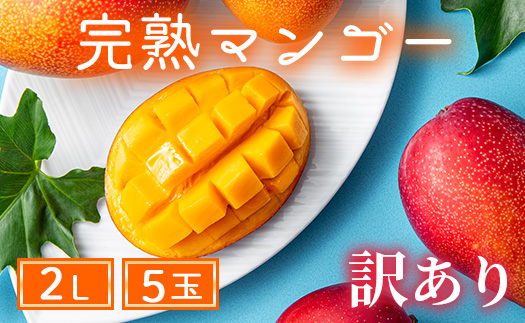 【訳あり】完熟マンゴー 2L×5玉（パック）【濃厚 高級 宮崎 果物 フルーツ 贈答 ギフト 甘い 先行受付 送料無料】【JA綾町】_A0114-108
