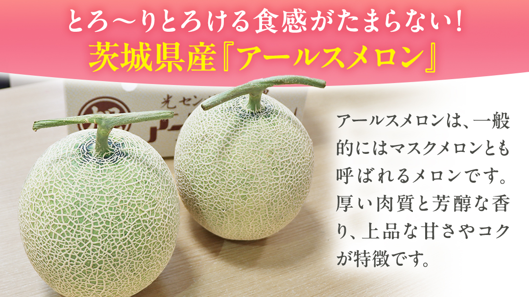 茨城県産 アールスメロン 秀品 3L サイズ × 2玉 入り おすすめ JA全農いばらき JA 【 2024年8月下旬から発送 】 メロン めろん ふるさと納税 フルーツ 予約 マスクメロン くだもの