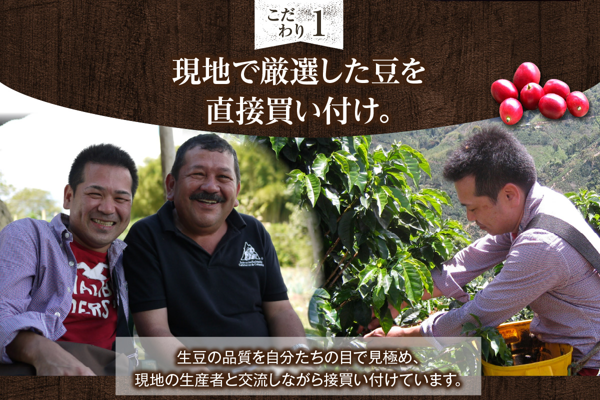 世界のスペシャルティコーヒー定期便(5ヶ月間) 豆_08-061-1-1