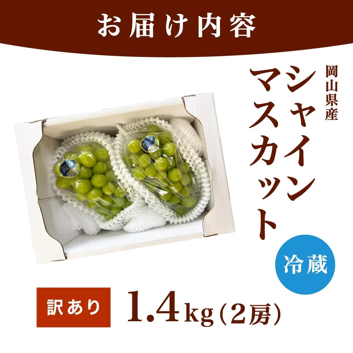 【訳あり】2026年9月発送 岡山県産 シャインマスカット 1.4kg