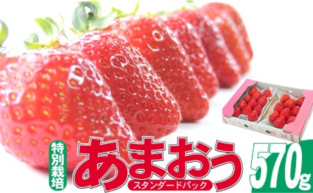 いちご 2027年2月下旬より発送 いちご あまおう スタンダード2パック 約570g