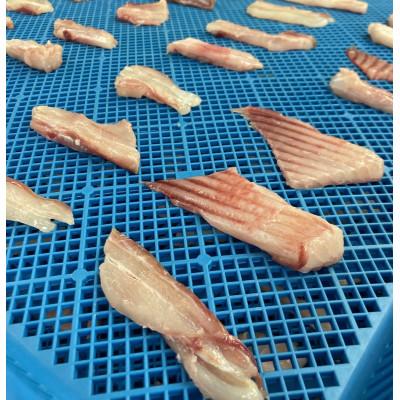 ふるさと納税 苫小牧市 【3ヵ月毎定期便】北海道かすべジャーキー 無添加 犬猫 アスランファクトリー[40g×3袋]全4回 |  | 02