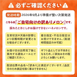 【令和7年産先行予約】【訳あり】北海道メロン 暑寒レッド 2玉 (3.2kg以上×1箱)《2025年9月より発送予定》ワケあり 家庭用 赤肉メロン わけあり 規格外 傷 不揃い くだもの フルーツ メ