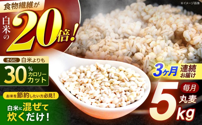 
            【3回定期便】長崎県産 丸麦 5kg / 麦 むぎ 雑穀 雑穀米 麦ごはん 麦飯 麦みそ 食物繊維 / 諫早市 / 有限会社伊東精麦 [AHBU014]
          