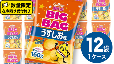 カルビー ポテトチップス BIGBAG 160g うすしお味 1ケース ( 12袋 ) ポテチ お菓子 おかし 大量 スナック おつまみ ジャガイモ じゃがいも まとめ買い 数量限定