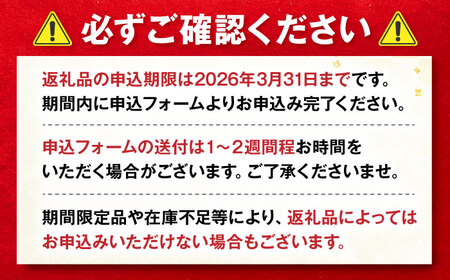 あとから選べる 吉野ヶ里町 ふるさとギフト 3万円分 あとから寄附 あとからギフト[FZZ032]