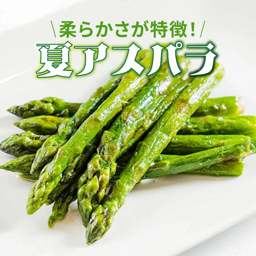 【ふるなびWEEK対象】【2026年5月下旬-発送】星の アスパラ / グリーンアスパラガス 1kg[SEY001] 