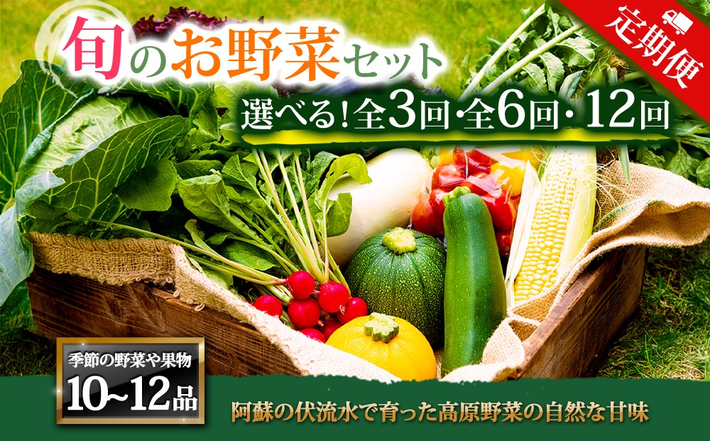 
            【選べる回数】【定期便】＜畑から直送＞季節のお野菜セット XLサイズ10～12品をお届け♪ 3回 6回 12回　定期便 野菜 新鮮 野菜セット 定期便 農家直送 産地直送 野菜 厳選 こだわり 朝採れ 採れたて フレッシュ サラダ 高原野菜 フルーツ 甘い 野菜 詰め合わせ おまかせ 大地の恵み 贈り物 ギフト 便利 野菜 家族 主婦 料理 お弁当 人気 おすすめ お取り寄せ 野菜 熊本県 阿蘇市
          