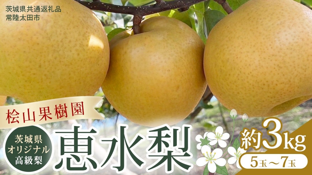 
             茨城県 オリジナル 幻の 高級梨 『 恵水 』 約 3㎏ 5玉 ～ 7玉 【茨城県共通返礼品／常陸太田市】 桧山果樹園 農家直送 桧山果樹園 農家直送 フルーツ  甘い 直送 茨城 限定 ギフト 梨 恵水 けいすい 果物 [DU007sa]
          